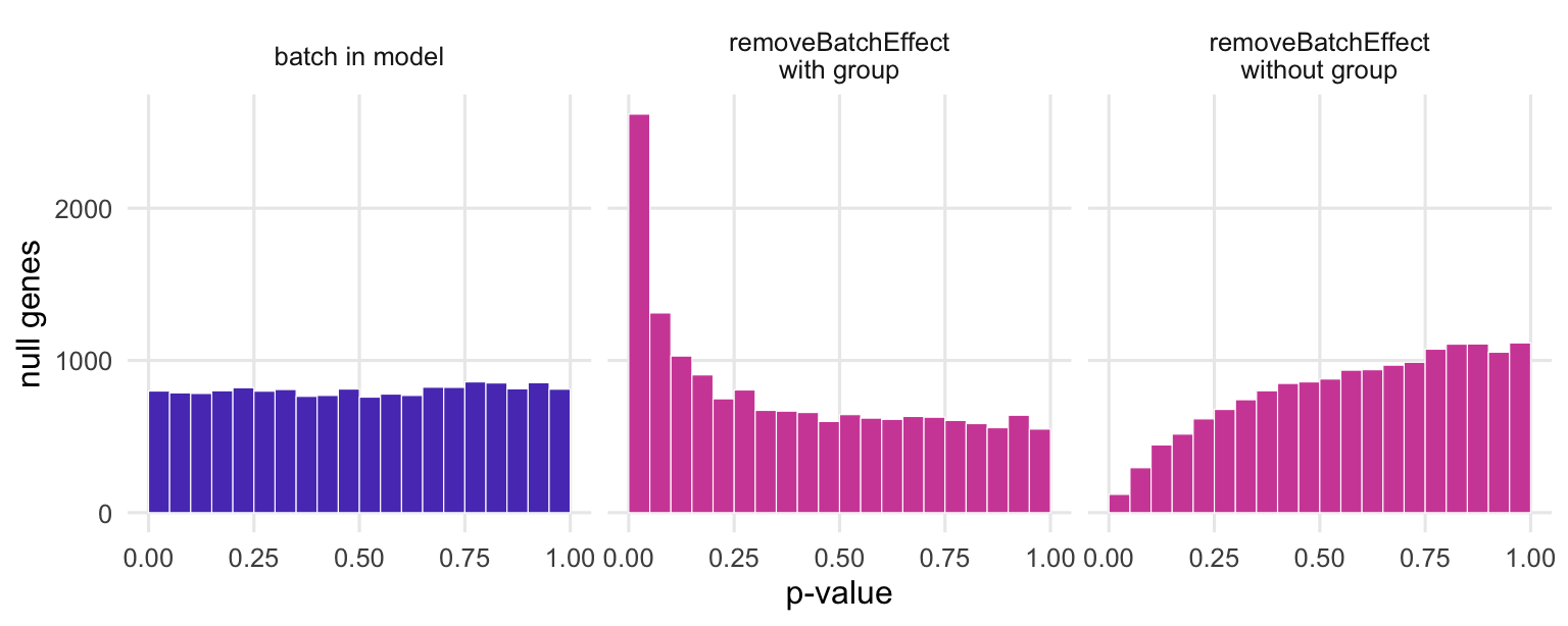 Three histograms of null p-values. With batch in the limma model the histogram is flat. After removeBatchEffect with the group argument the histogram has a tall spike near zero. After removeBatchEffect without the group argument the histogram is tilted towards one, with few small p-values.