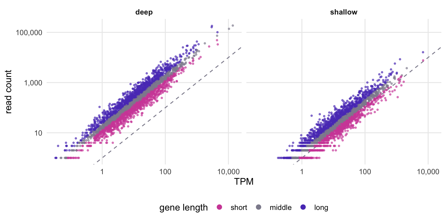 Two scatter plots of read count against TPM on log axes. In the deep panel the points lie well above a dashed diagonal line; in the shallow panel they lie closer to it, with some short genes below it. In both panels the points form three overlapping clouds by gene length, with long genes highest, meaning more reads at the same TPM.